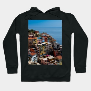 View on the cliff town of Manarola, one of the colorful Cinque Terre on the Italian west coast Hoodie